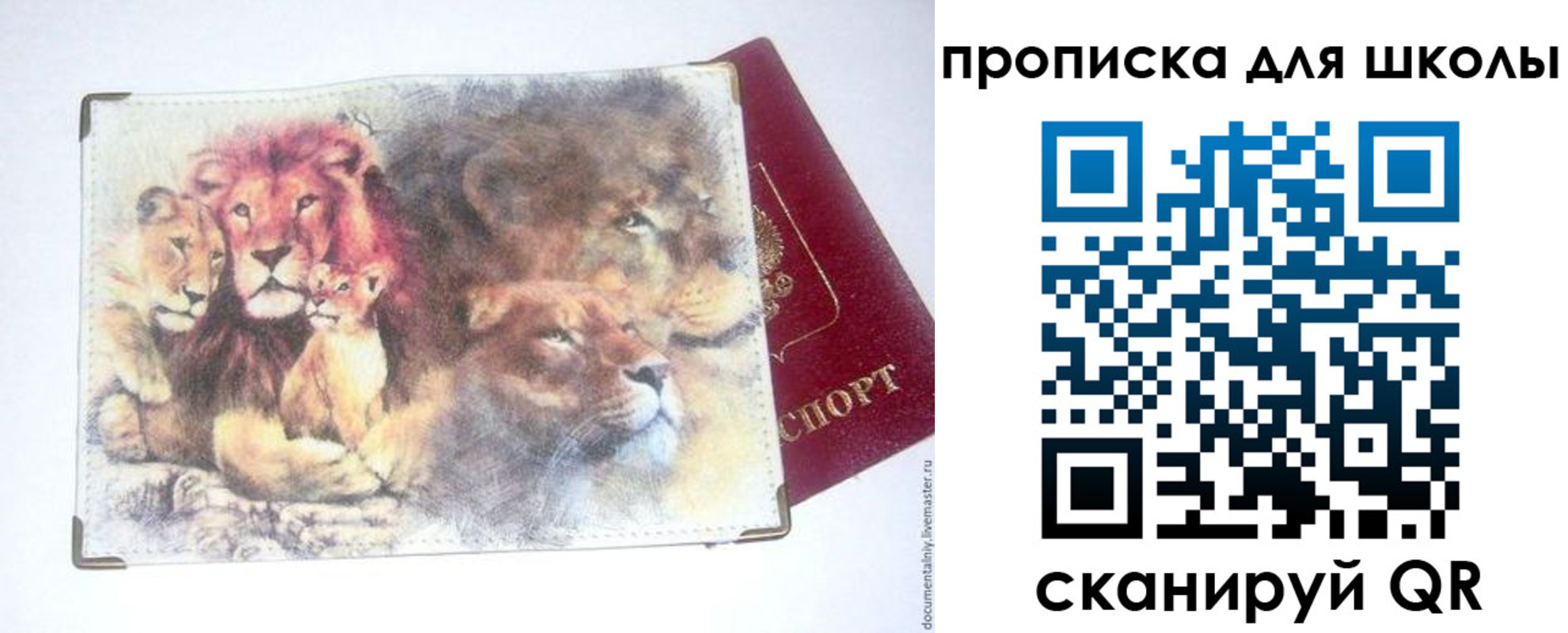 временная регистрация гарантия в Чистополье